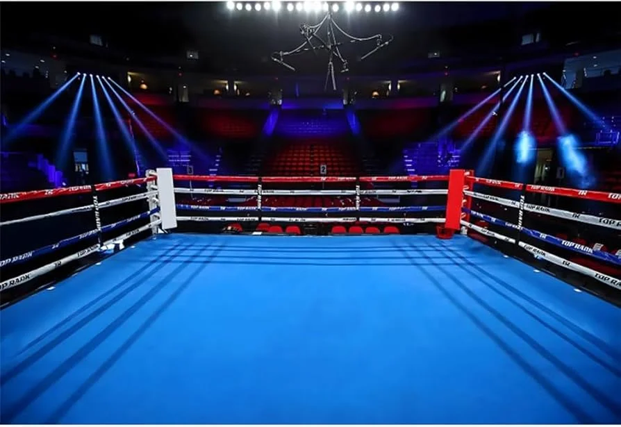 j9体育拳击竞技场灯光效果